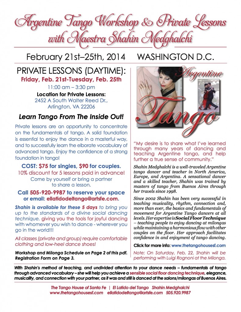 Shahin Medghalchi - Tango Workshop - Washington DC